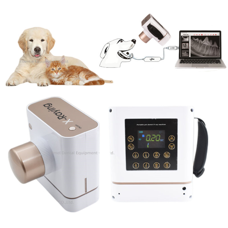 Veterinary X-Ray - Dental X Ray Equipment 60KV 30Khz