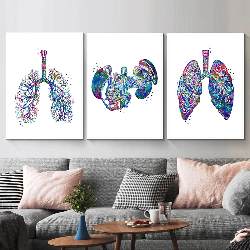 Anatomy Medical Poster Flower  - Medical Lab Pictures reseña y precio