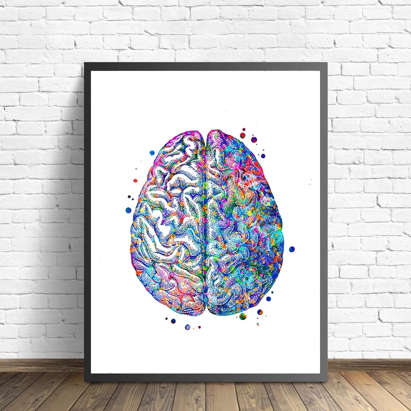 Anatomy Medical Poster Flower  - Medical Lab Pictures reseña y precio