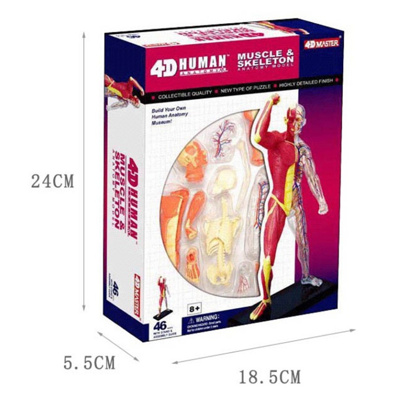 4d Master Human Muscle Skeleto - Medical Lab Technology reseña y precio