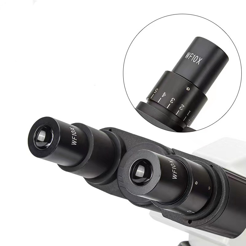 Real Picture WF10x Eyepieces 4 - Medical Lab Pictures reseña y precio