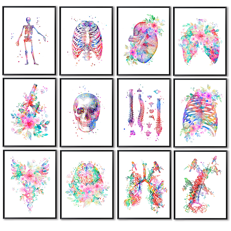 Anatomy Medical Poster Flower  - Medical Lab Pictures reseña y precio