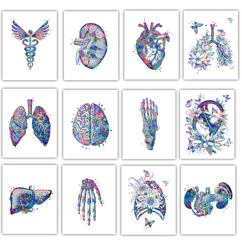 Anatomy Medical Poster Flower  - Medical Lab Pictures reseña y precio
