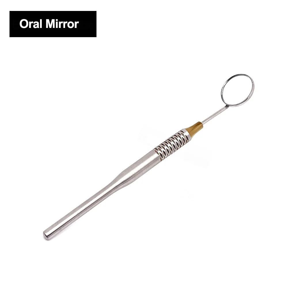 1Pc Stainless Steel Dental Mou - Dental Mirror Probe reseña y precio