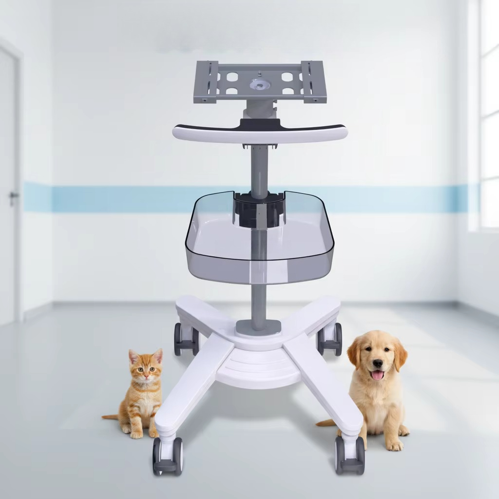 Veterinary Equipment EX-19T Ve - Medical Lab Furniture reseña y precio
