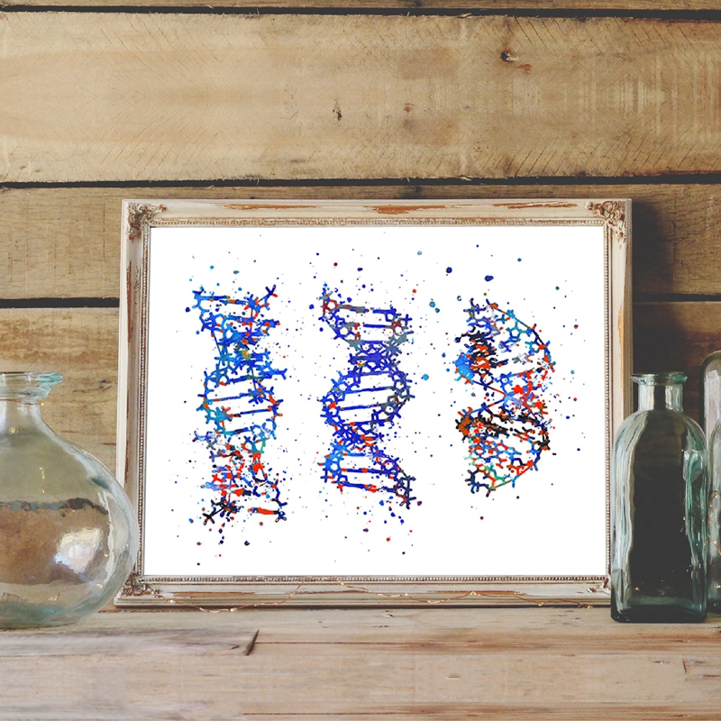 DNA Molecule Print Modern Medi - Medical Lab Pictures reseña y precio