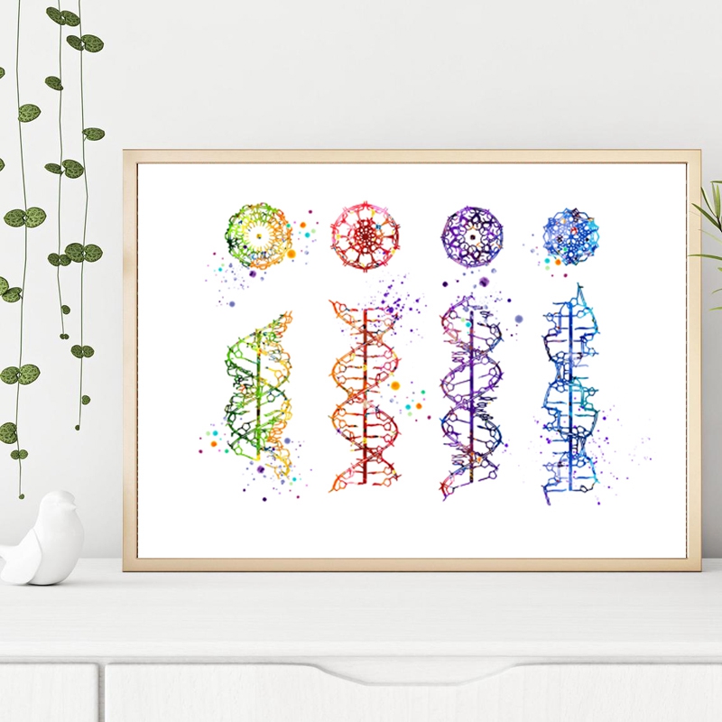 DNA Molecule Print Modern Medi - Medical Lab Pictures reseña y precio