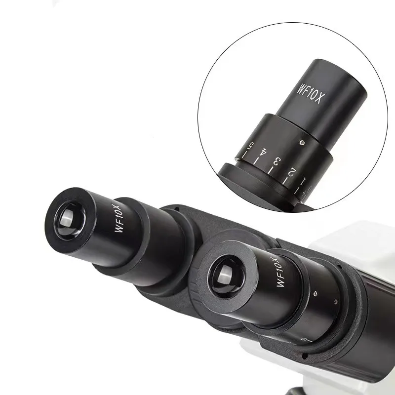 Real Picture WF10x Eyepieces 4 - Medical Lab Pictures reseña y precio
