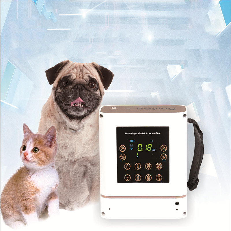 Dental X Ray Equipment 60KV 30 - Veterinary X-Ray reseña y precio