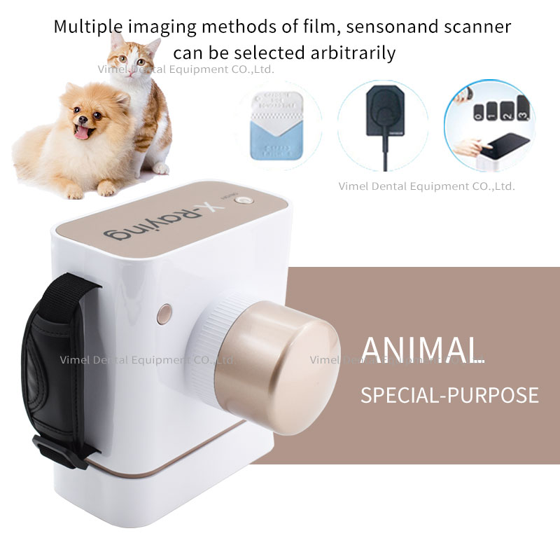 Dental X Ray Equipment 60KV 30 - Veterinary X-Ray reseña y precio