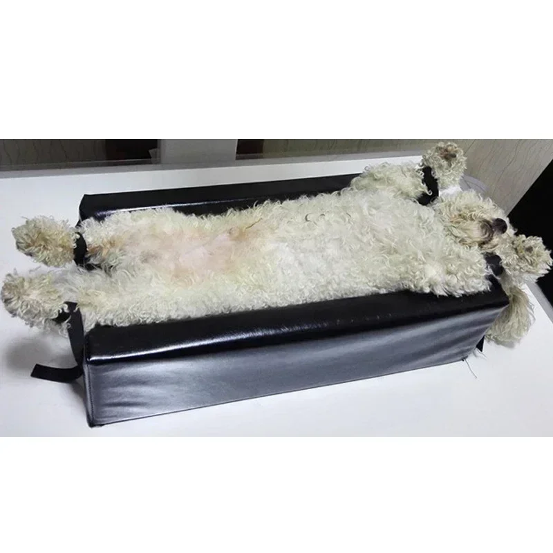 Small size    Animal Xray mach - Veterinary X-Ray reseña y precio