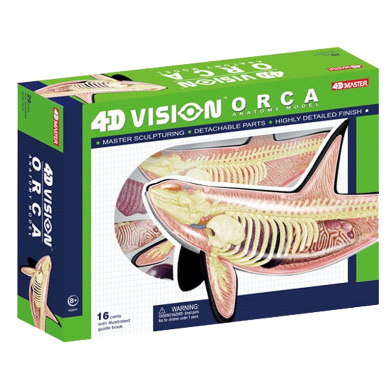 4D Vision Orca Whale Skeleton  - Medical Lab Technology reseña y precio