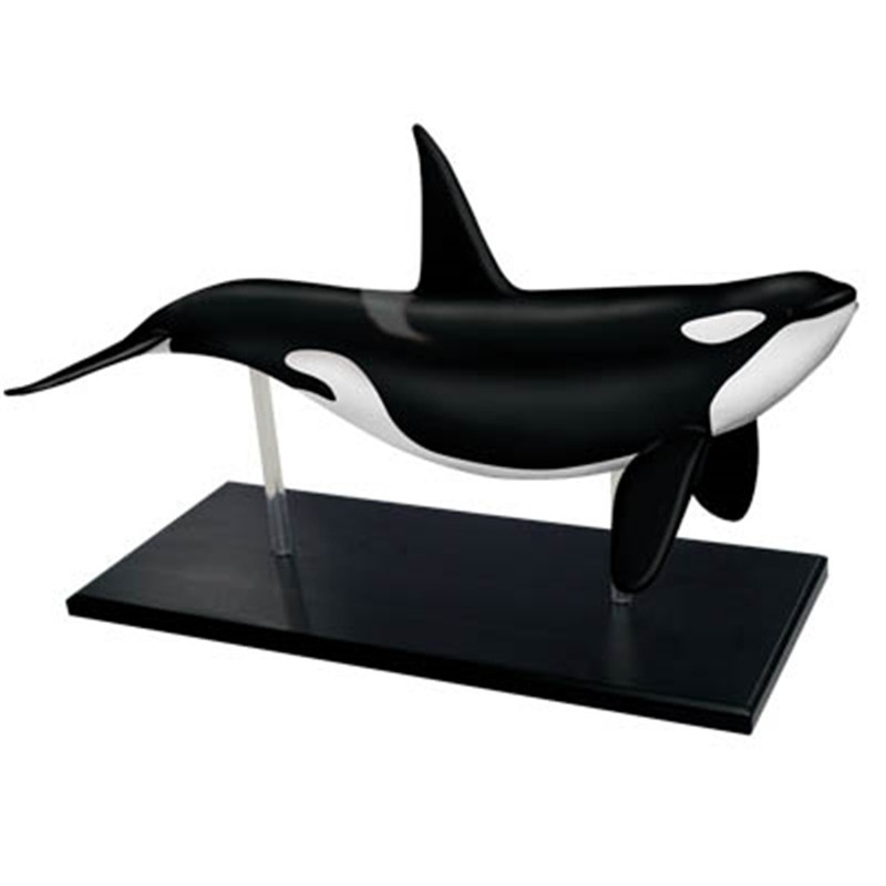 4D Vision Orca Whale Skeleton  - Medical Lab Technology reseña y precio